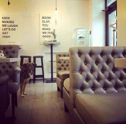 Mindal coffee room Mindal coffee room