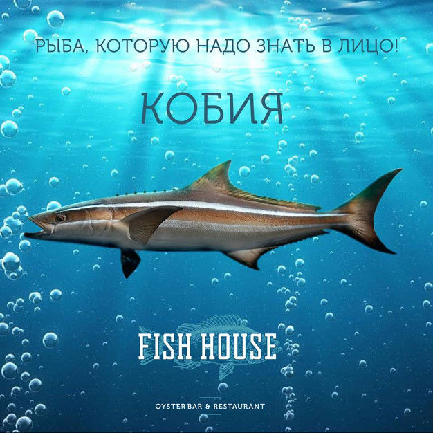 зображення ЧОТИРИ ВАЖЛИВИХ ПРИЧИНИ БУТИ В РЕСТОРАНІ FISH HOUSE УВЕЧЕРІ У ЦЮ П'ЯТНИЦЮ (15.04)