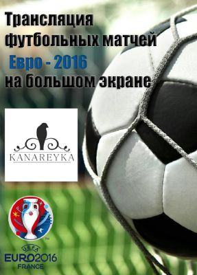 изображение "Канарейка": Euro 2016! (10.06 - 10.07)