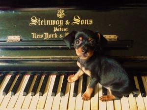 изображение SANPAOLO: Дорогие друзья, объявляем август - месяцем приятной музыки пиано! (05.08 - 19.08)
