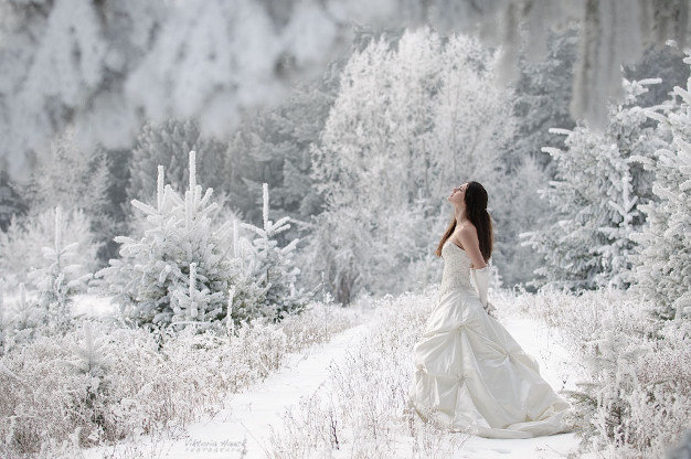 зображення Зимове весілля в "Боровик" - це казка!