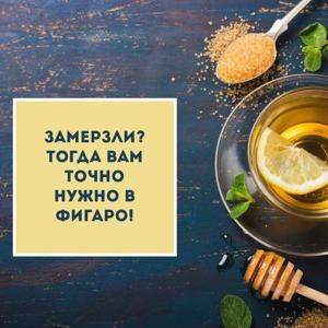 изображение Фигаро: Как не замерзнуть и душевно провести время!