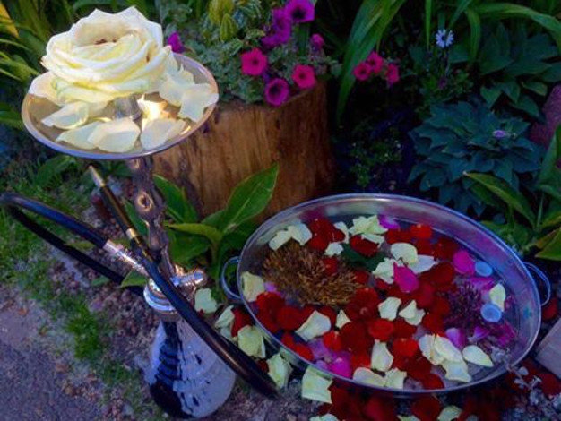 зображення Ароматний кальян на троянді в гастробарі Sinitza