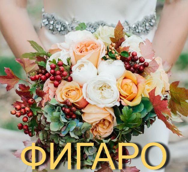 изображение Фигаро: осенние свадьбы