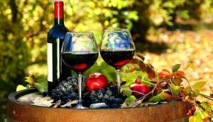 изображение SANPAOLO‎: Божоле Нуво - праздник молодого вина (16.11)