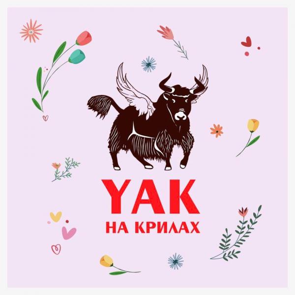 зображення "YAK на крилах": Готуємо для вас дещо новеньке!