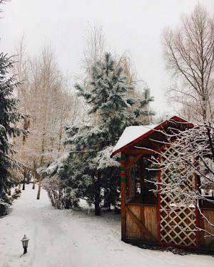 изображение Настоящая сказка в "Матрёшке" 😍❄️ (22.12 - 25.12)