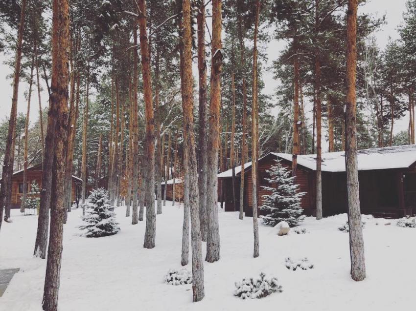 зображення Sobi CLUB: Друзі, наближається перший святковий вікенд ❄️ (23.12 - 24.12)