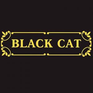 Чорний Кіт