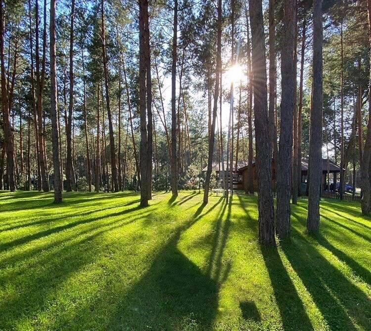 зображення Sobi CLUB: Ліс - це подих життя, заряд енергії, здоров'я та задоволення 🍃