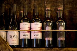 изображение Культура потребления вина в Италии