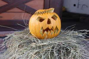 зображення "Два Бобра": Веселощі на Halloween