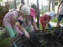 зображення Фотозвіт: Травнева посівна в "Трипіллі"!