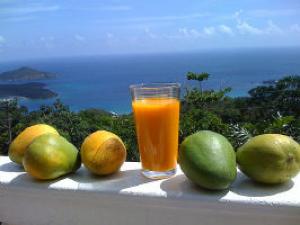 зображення Літня тераса ресторану КОНКОРД: Освіжай настрій манговим фрешем!